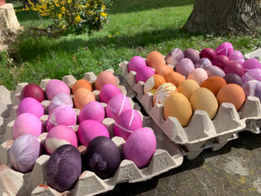 Ganz natürlich: Leuchtende Pastelltöne und Pflanzenmuster zieren die Eier, die bei EINST UND JETZT e.V. gefärbt werden können.
